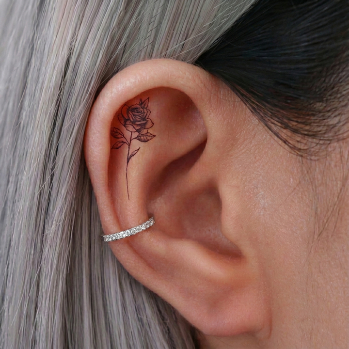 Conch