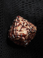 Giant 50cm Handmade "Prison Realm" Cursed Object Sculpture | Gory Flesh & Blood Monster Eye Resin Replica