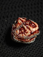 Handmade 35mm Bound Flesh D6 Dice - Chained Gory Meat Resin Artifact