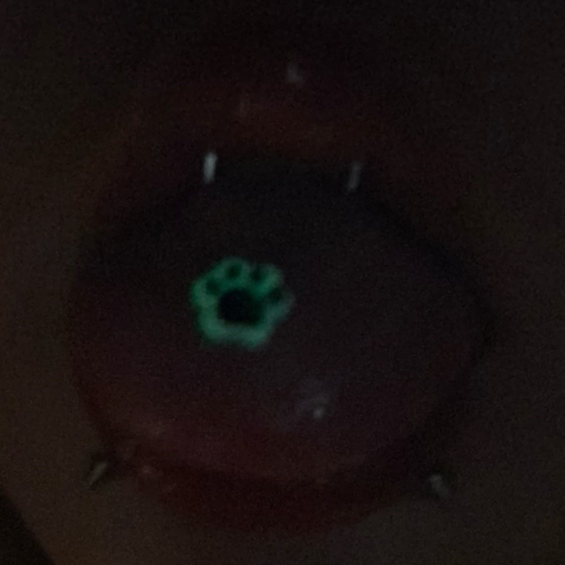 Glow-in-the-Dark Cat Paw Tongue Ring - Sweet & Edgy Barbell