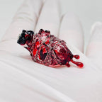 "Bound by Blood" Restrained Anatomical Heart - Chain & Drip Detail