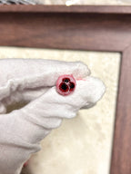 Awakening of the Arachnid | Titanium Multi-Pupil Mutant Eyeball Stud