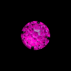 Starburst Crystal