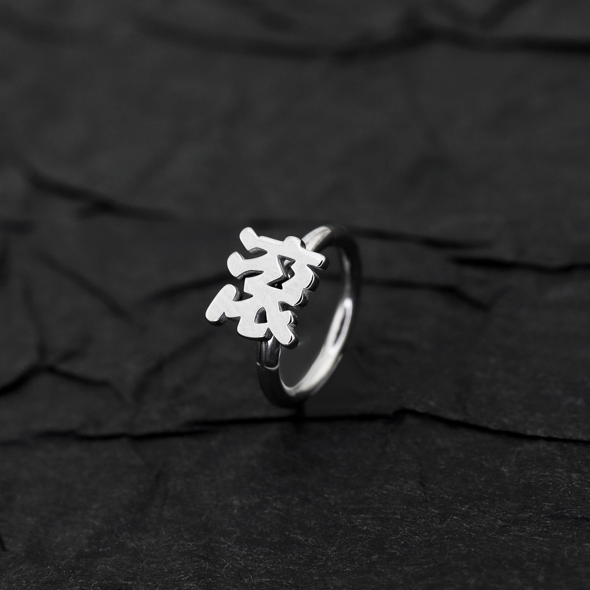 Kyoto Limited Series - Stainless Steel Segment Hoop - Kyoto Limited Series - Stainless Steel Segment Hoop - 喵 / 8mm by CRUXJEWELRY