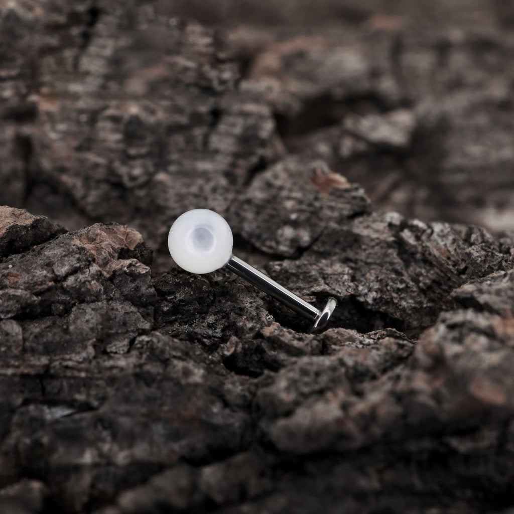 White butterfly shell pearl Internally Threaded Titanium Ear Studs - White butterfly shell pearl Internally Threaded Titanium Ear Studs - 6mm by CRUXJEWELRY