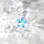 Blue Gradient Pentagram Star Titanium Ear Studs - Blue Gradient Pentagram Star Titanium Ear Studs - Single by CRUXJEWELRY