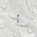 PAIR OF White Wing CZ Internally Threaded stainless steel Studs - PAIR OF White Wing CZ Internally Threaded stainless steel Studs - White / 6mm by CRUXJEWELRY