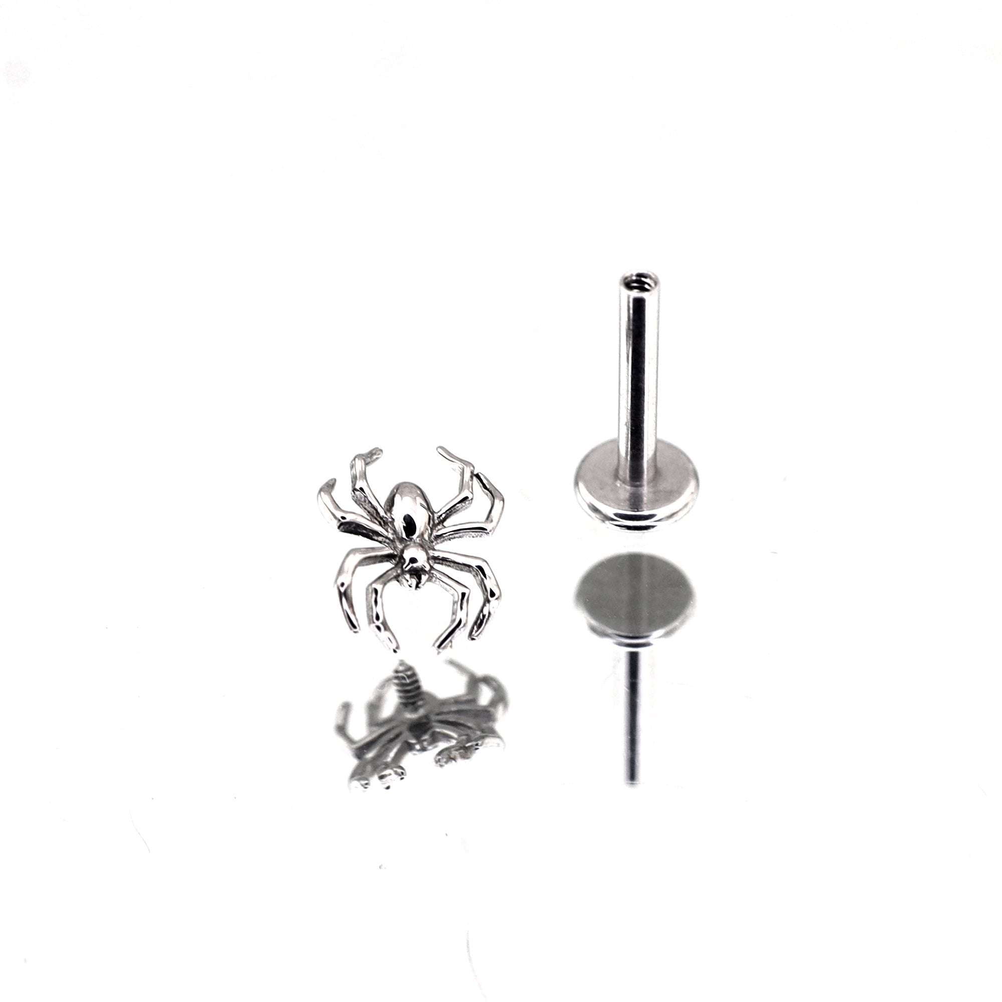 White&Blue Spider Titanium Internally Threaded Studs - White&Blue Spider Titanium Internally Threaded Studs - Sliver / 6mm by CRUXJEWELRY