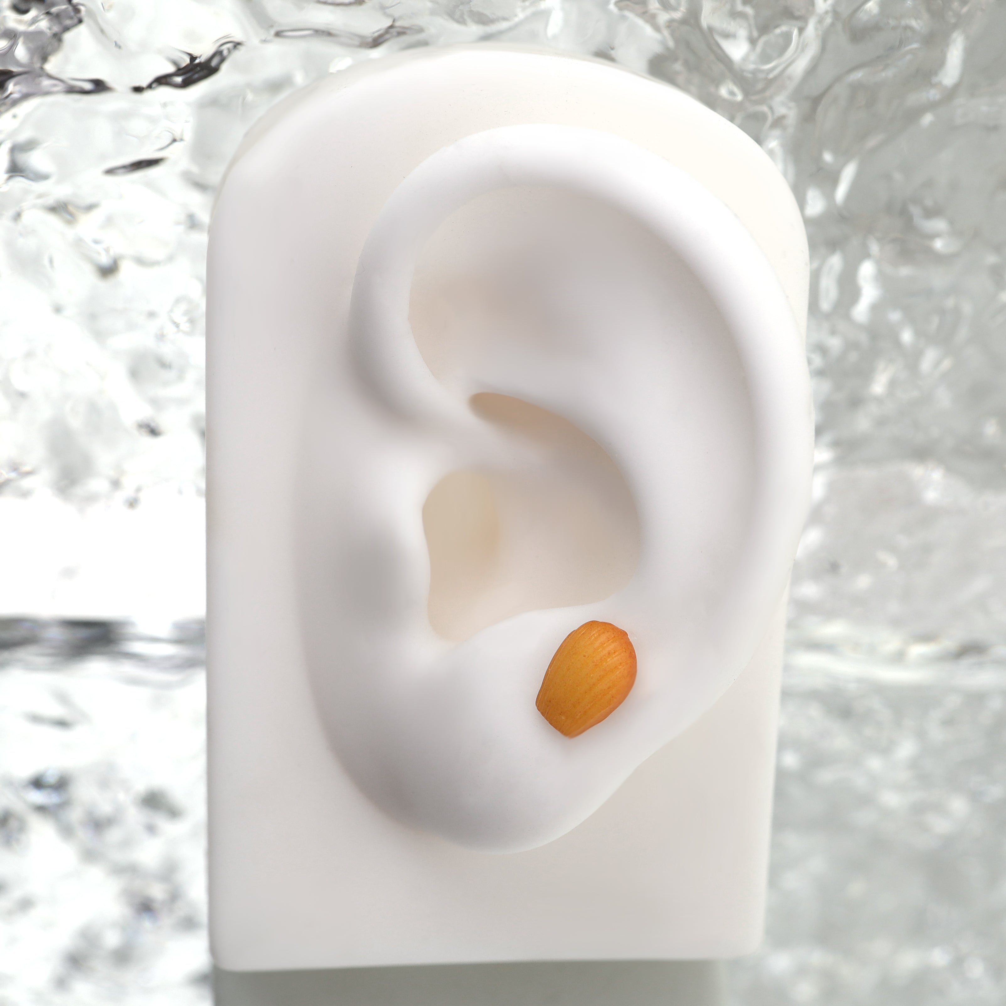 Star Baker - Seashell Pastry stainless steel Internally Threaded Studs - Star Baker - Seashell Pastry stainless steel Internally Threaded Studs - Single / 6mm by CRUXJEWELRY