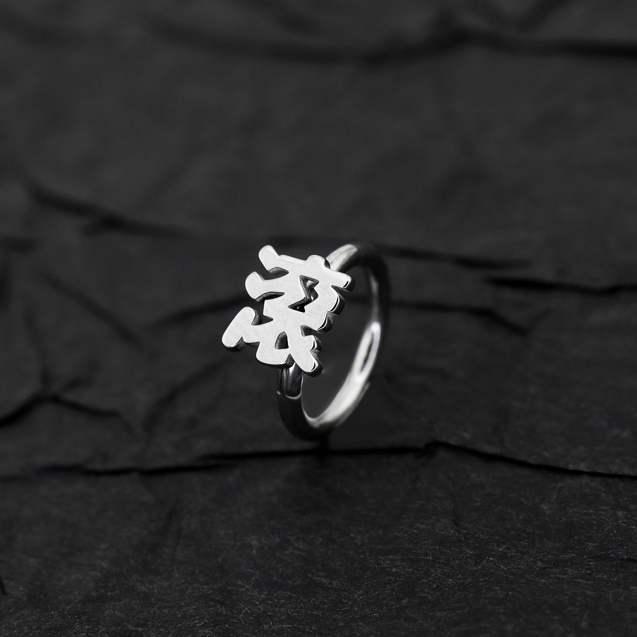 Kyoto Limited Series - Stainless Steel Segment Hoop - Kyoto Limited Series - Stainless Steel Segment Hoop - 喵 / 8mm by CRUXJEWELRY