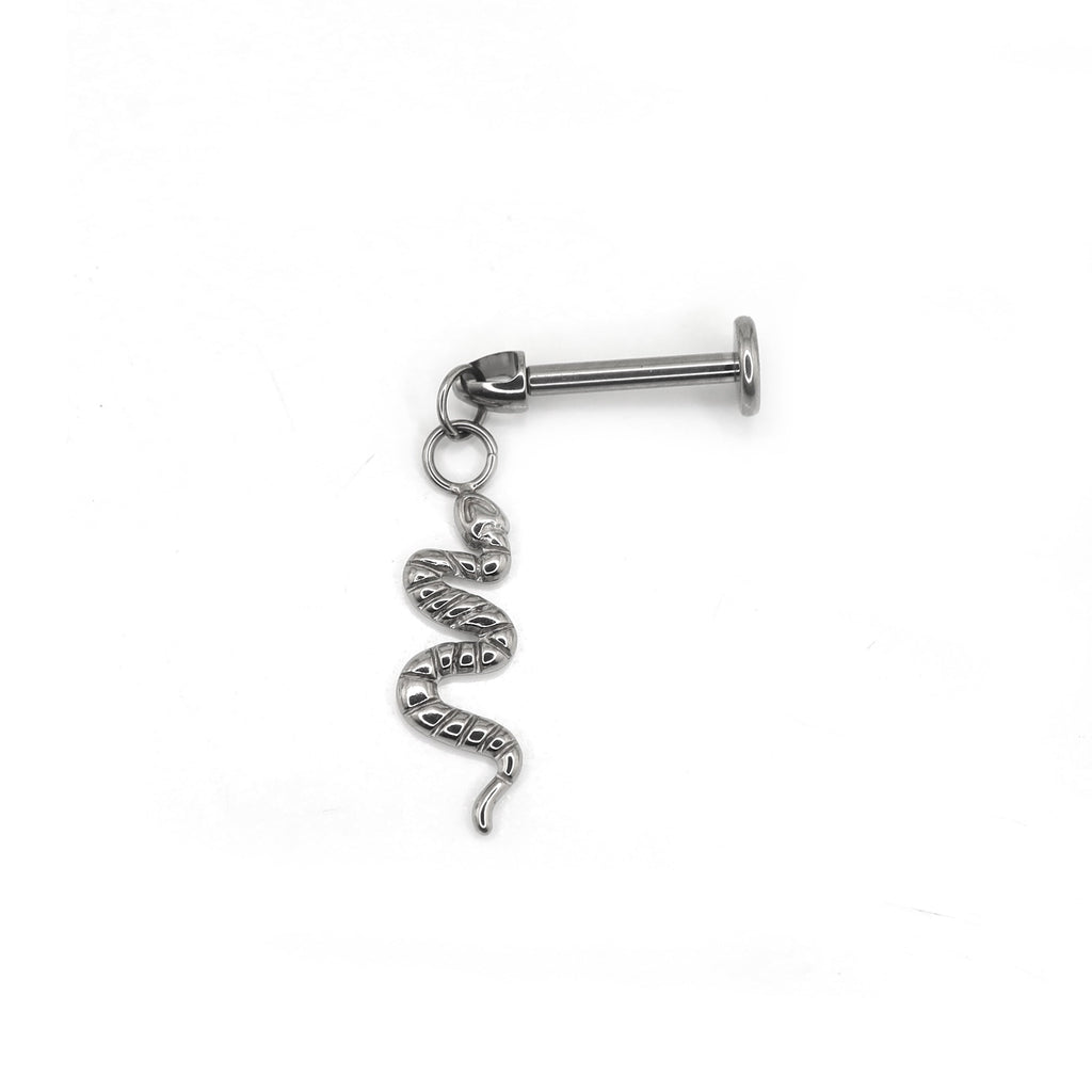 Playful Serpent Titanium Earring - Playful Serpent Titanium Earring - 6mm by CRUXJEWELRY