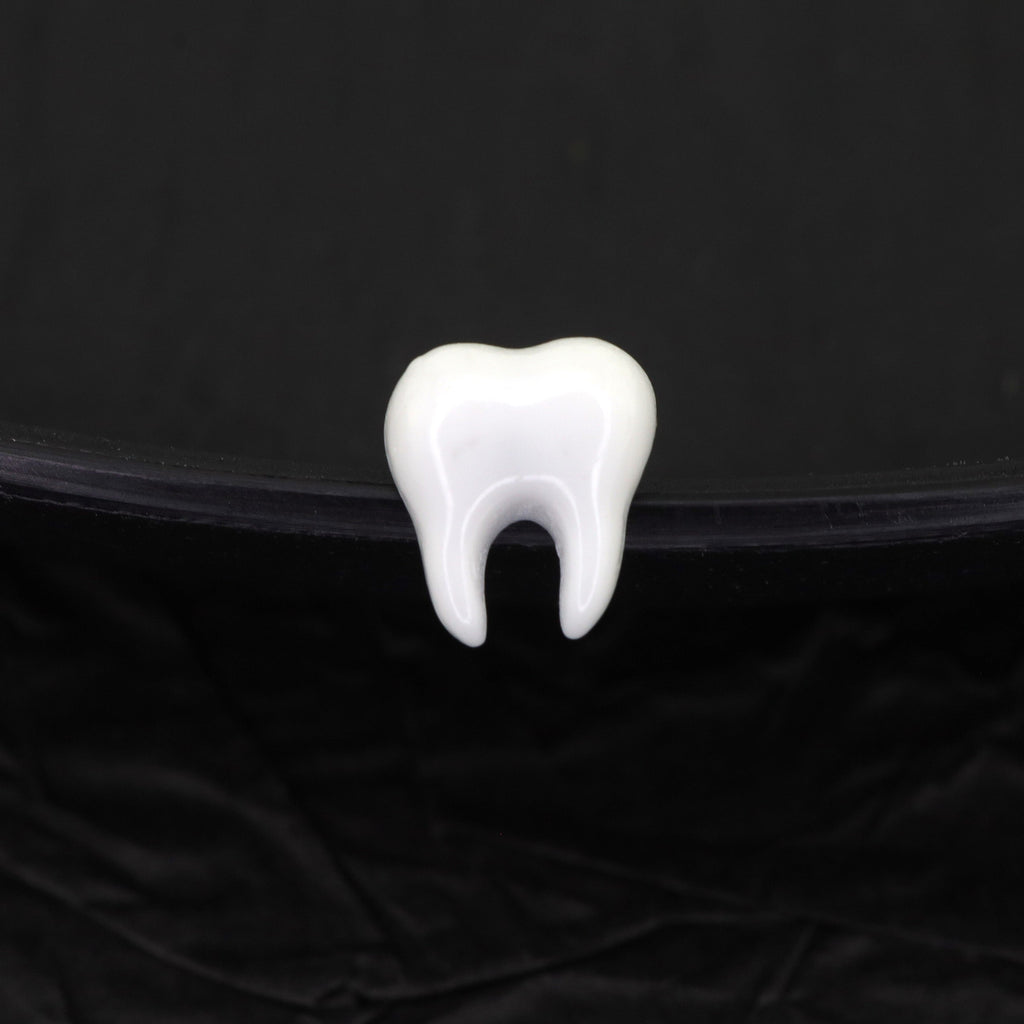 CRUX - White Tooth Externally Threaded stainless steel Studs - CRUX - White Tooth Externally Threaded stainless steel Studs - Single / 6mm / 0.8mm/20G by CRUXJEWELRY