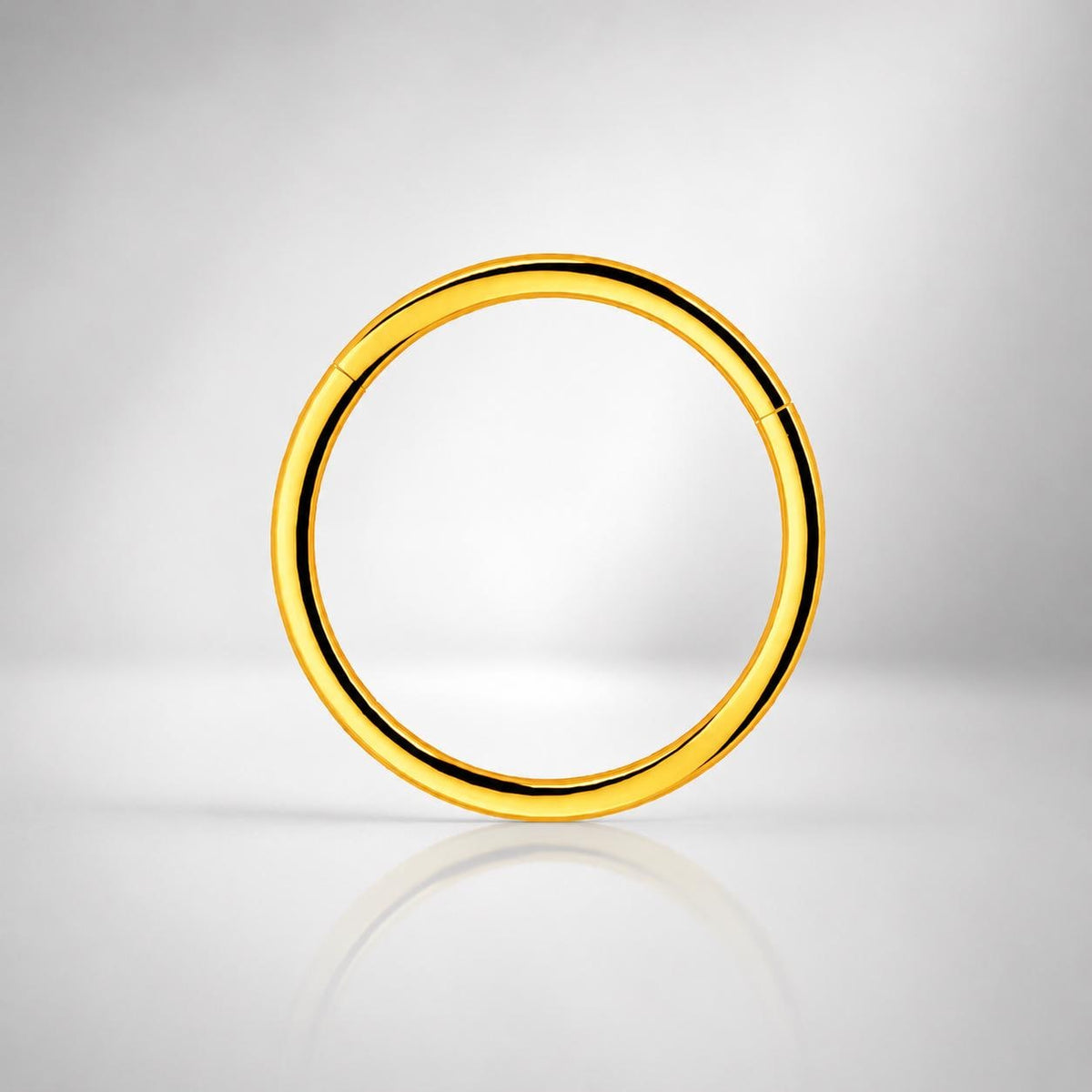 Titanium Double Hoop Septum Clicker detail 7