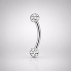 ASTM F136 Titanium Full CZ Curved Barbell | Eyebrow & Rook