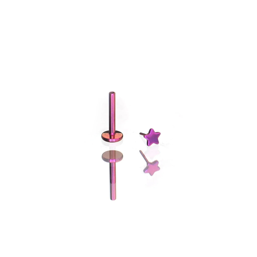 MLP Twilight Sparkle Series Ear Accessories Set - MLP Twilight Sparkle Series Ear Accessories Set - Mini Star £¨Push-in Earrings£© / 6mm / 20G-0.8mm by CRUXJEWELRY