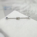 Fleur-de-Lis Crystal titanium industrial barbell, detail view 5