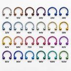 Classic Titanium Horseshoe Ring detail 16