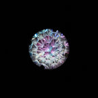 Starburst Crystal - product image 8